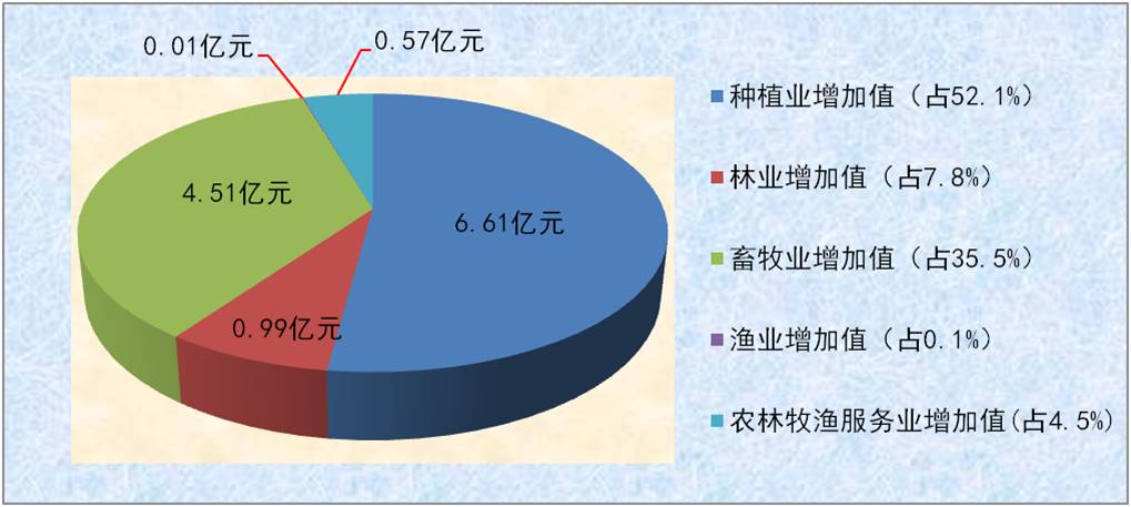 图片6.jpg